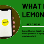 What Is Lemon 8