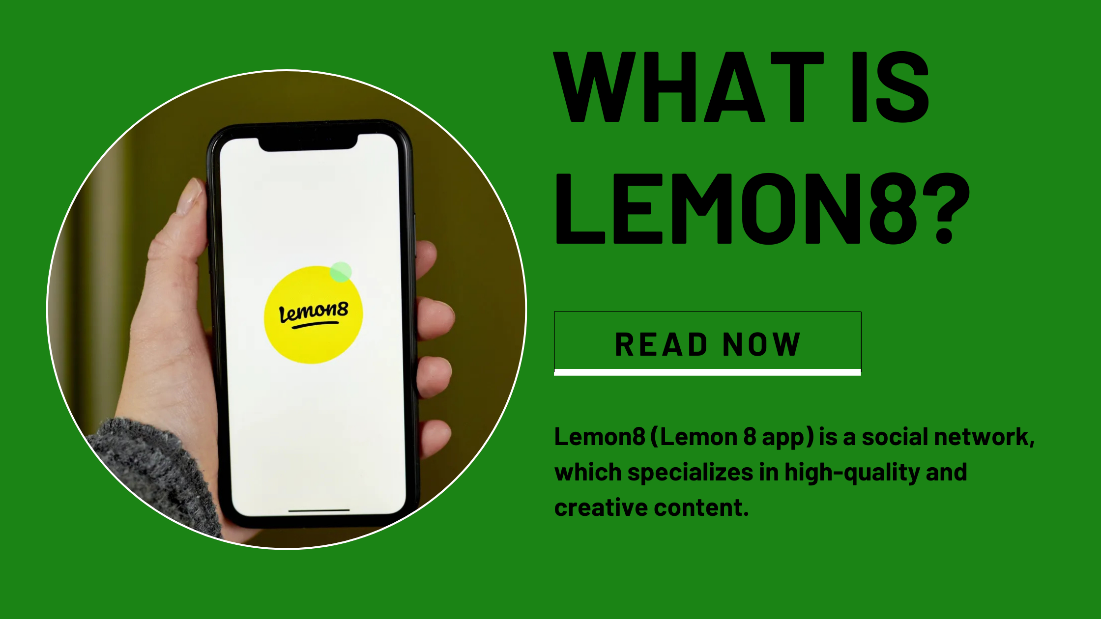 What Is Lemon 8