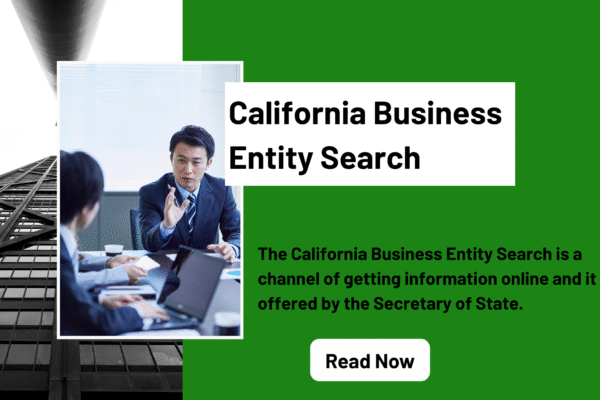 California Business Entity Search