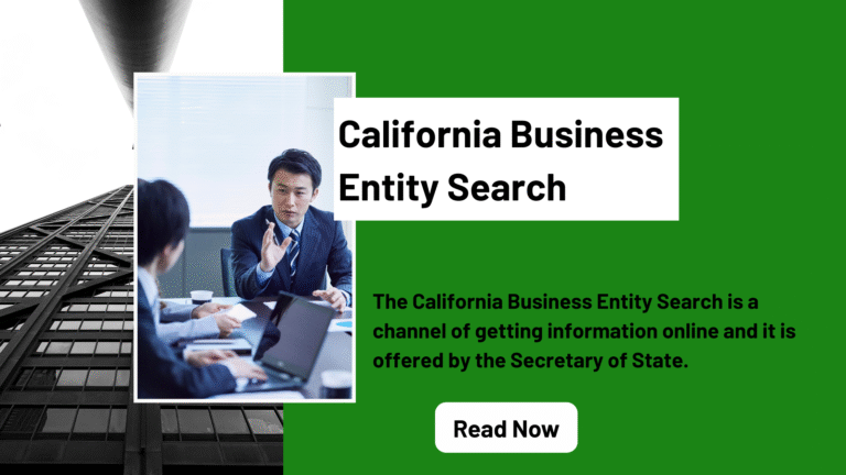 California Business Entity Search
